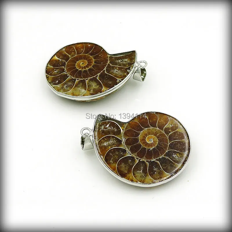 Natural Ammonites Pair Pendants With Wrapping Frame Of Plating Platina Approx 35mm