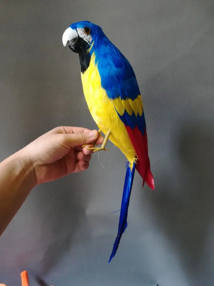 plastic foam& feathers artificial bird yellow-blue feathers parrot model large 42cm toy,garden decoration gift w0799