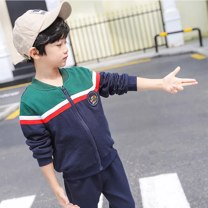 

2019 autumn boy girl clothes sets fashion cotton kids zipper sweatshirts+Haren pants Suit 2 piece baby clothes Children clothing