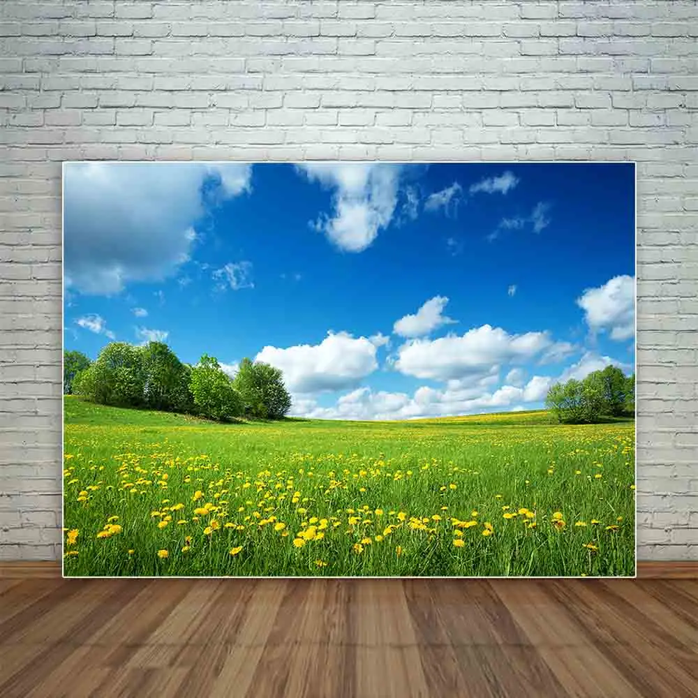 Funnytree photography backdropsgreen nature vast blue sky White clouds photocall photography studio funds for the photo