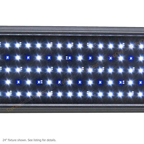 Beamswork LED Pent 24 0.50W Timer Aquarium Light Freshwater Marine FOWLR 60cm