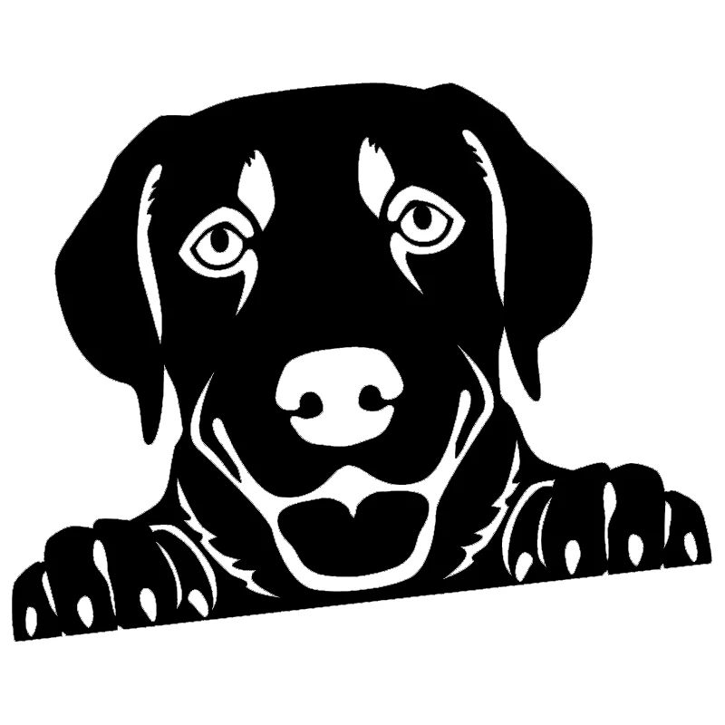 15*10.7cm Peeking Humour Cute Handsome Labrador Retriever Vinyl Car Wrap Sticker Car Decor Decal