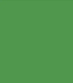 

Free Solid Color Green Muslin Photo Backdrop FV003,Custom Service Available
