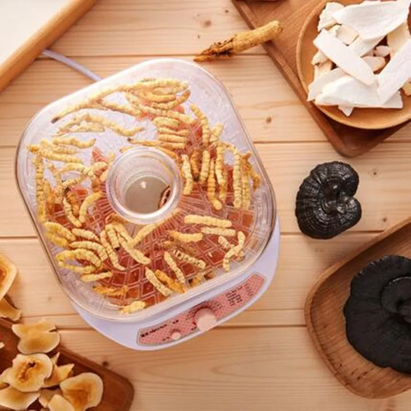 220V 5 Lớp Điện Tự Động Máy Sấy Thực Phẩm Gia Đình Hoa Quả Sấy Khô Máy, Hoa Quả Thịt Thực Phẩm Dehydrator EU/AU/Anh/Mỹ Cắm