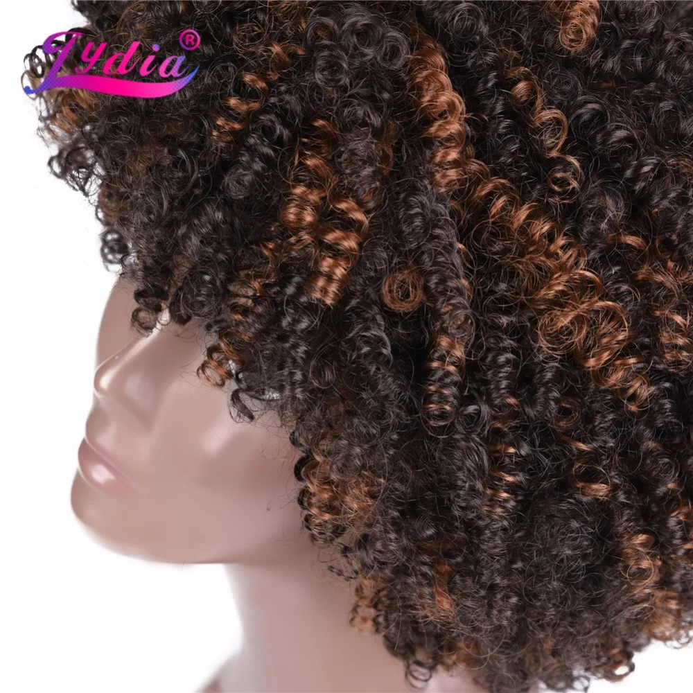 Lydia Afro Kinky Curly Wigs Short Synthetic Mixed Brown P4/30 Women Wigs Kanekalon Heat Resistant African American Wigs