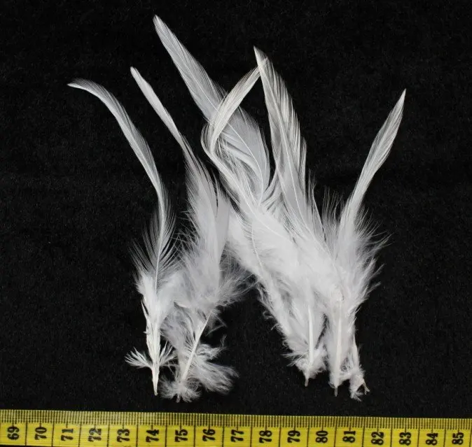 800pcs Selected White Rooster Saddle Feather Hair Extensions Pack 4-6