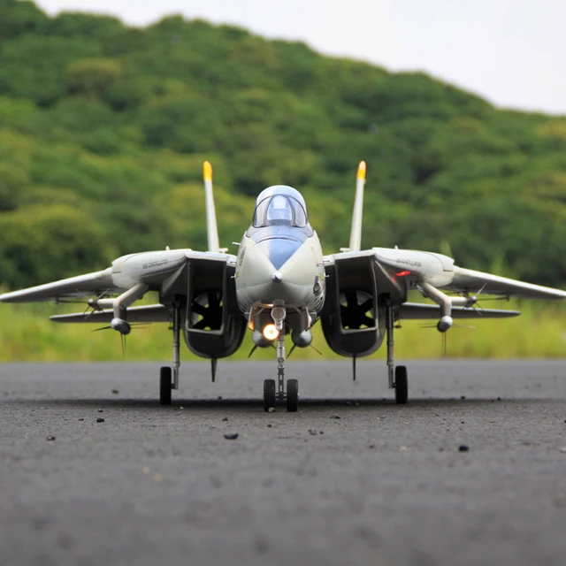 デュアルリモートコントロール航空機ジェットモデルF-14,ドームキャット,80mm,可変翼,サーボ付き - AliExpress