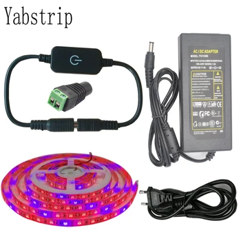 Faixa de luz led para cultivo, 5m/rolo smd5050 300leds, à prova d'água, vermelho, azul, lâmpada phyto, interruptor de toque, fitolamp para lâmpada de planta de flores internas