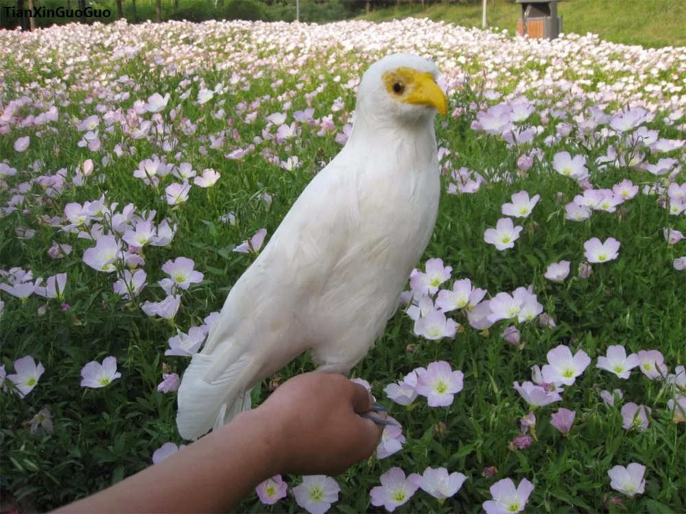 

simulation owl bird hard model polyethylene&feathers large 45cm white owl handicraft home garden decoration gift s1847