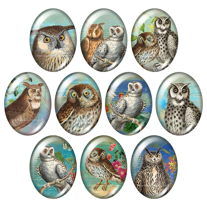 Beauty Vintage Owl Birds Hope 10pcs 13x18mm/18x25mm/30x40mm mixed Oval photo glass cabochon demo flat back Jewelry findings