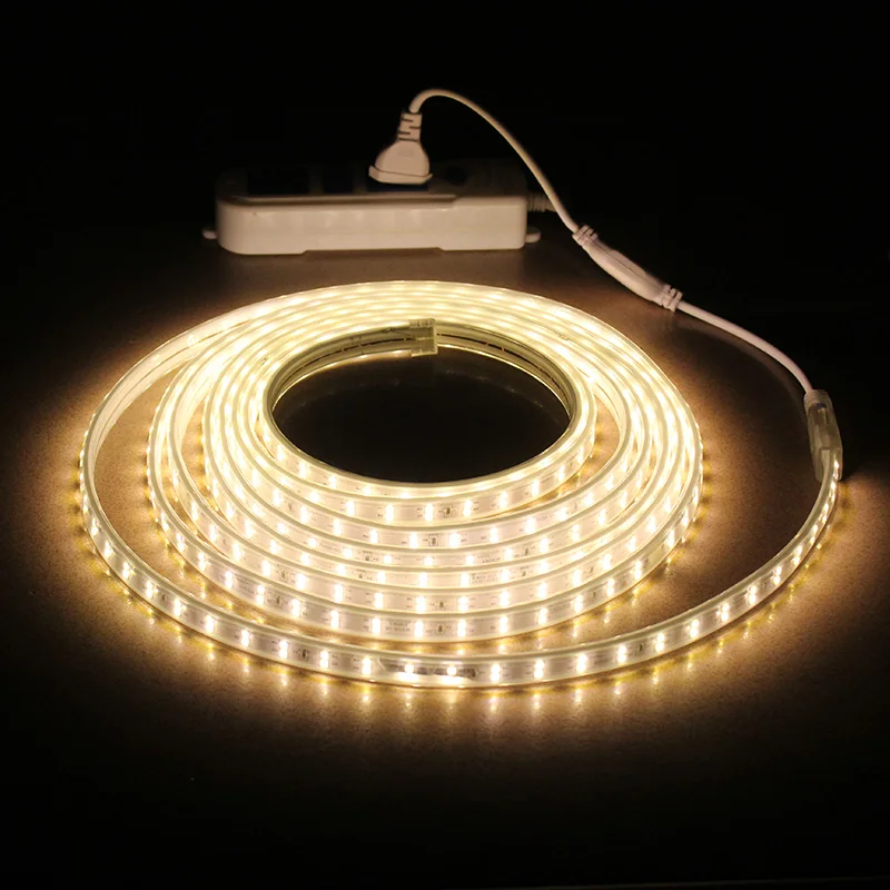 Waterproof LED Strip IP65 LED Tape 120 LEDs/M String Lights SMD2835 Flexible Light Garden Lamp Two Row LED Strips 220V Ribbon