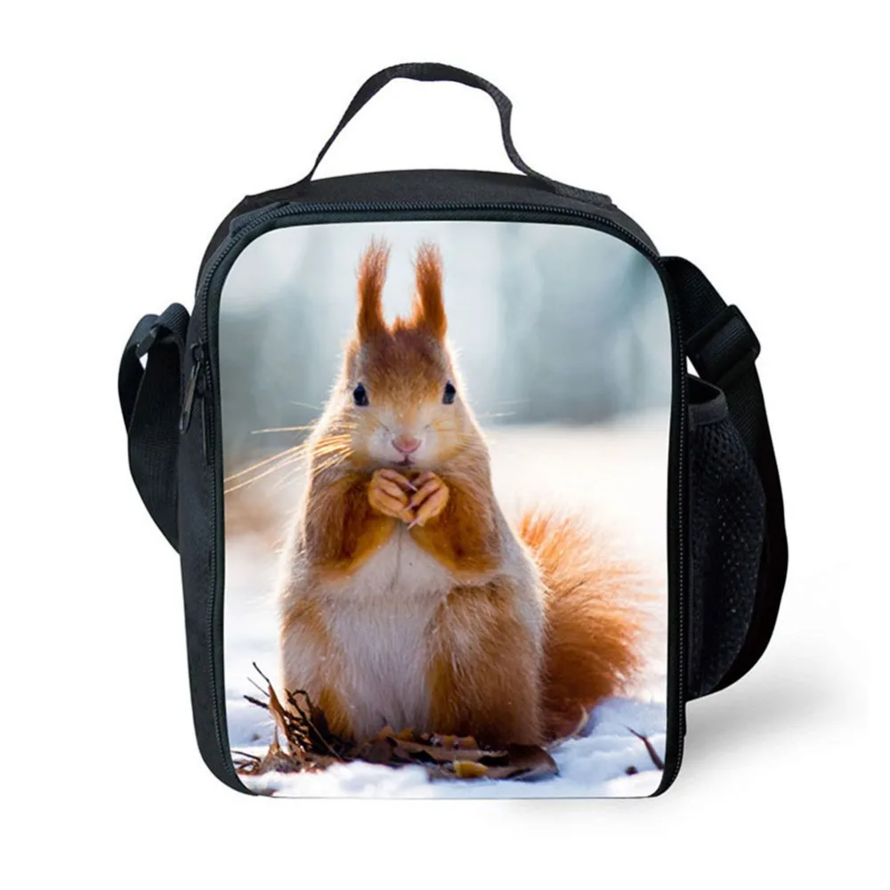 

Fashion Portable squirrel picture Insulated lunch Bag Thermal Food Picnic Lunch Bags for Women kids Men Cooler Lunch Box Bag