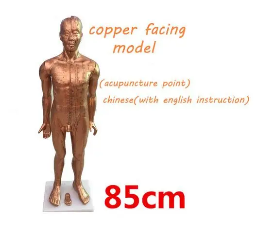 copper colour electroplating PVC plastic teaching acupuncture point model traditional Chinese medical body 85cm human model