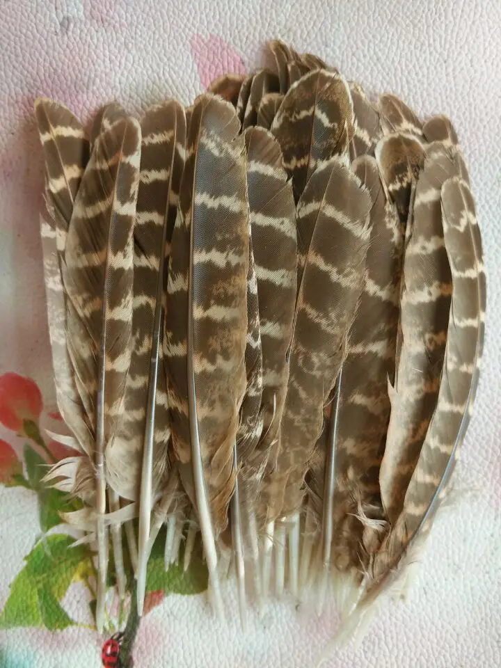 sale high 20pc  Natural pheasant feathers,4-6inches / 10-15cm, DIY decorative handicrafts