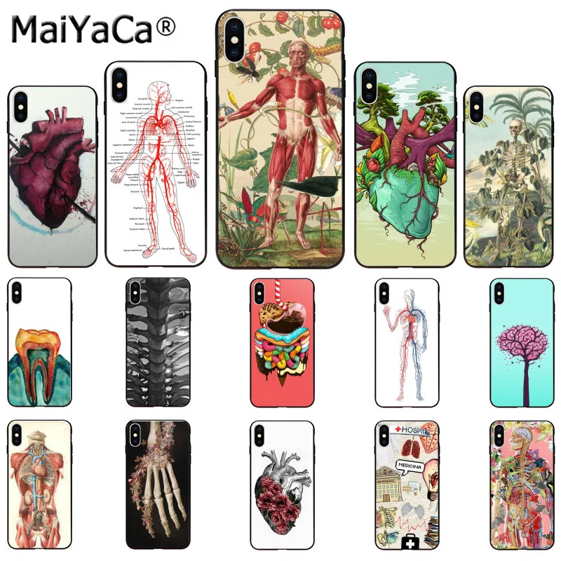 MaiYaCa Flower CASE DESIGNS HUMAN ANATOMY Newly Arrived Cell Phone Case for iphone SE 2020 11 pro 8 7 66S Plus X XS MAX 5S SE XR