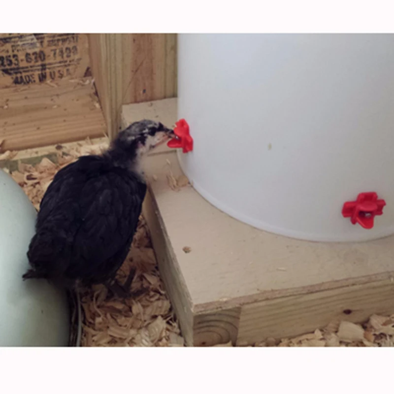 

Poultry Chicken Bird Feeding Equipment Poultry Chicken Water Drinking Automatic Waterers Nipple Drinker Bowl