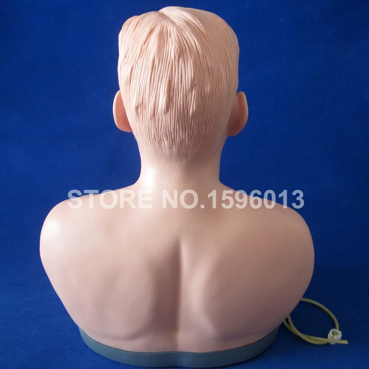 Senior Tracheotomy Care Simulator Patient Nursing Training Model Nurses Practice Dummy