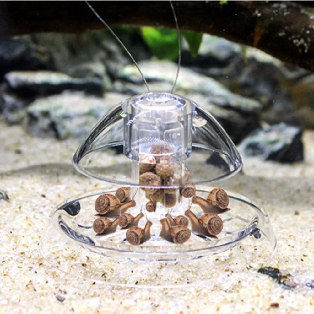 Clear Snail Trap Aquarium Fish Tank Plants Planarian Leech Catch Environment