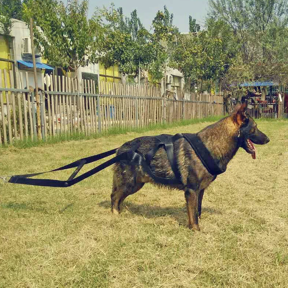 Dog Weight Pulling Harness Strong Nylon Pets Harness for German Shepherd Large Dogs Agility Product Dog Training Products