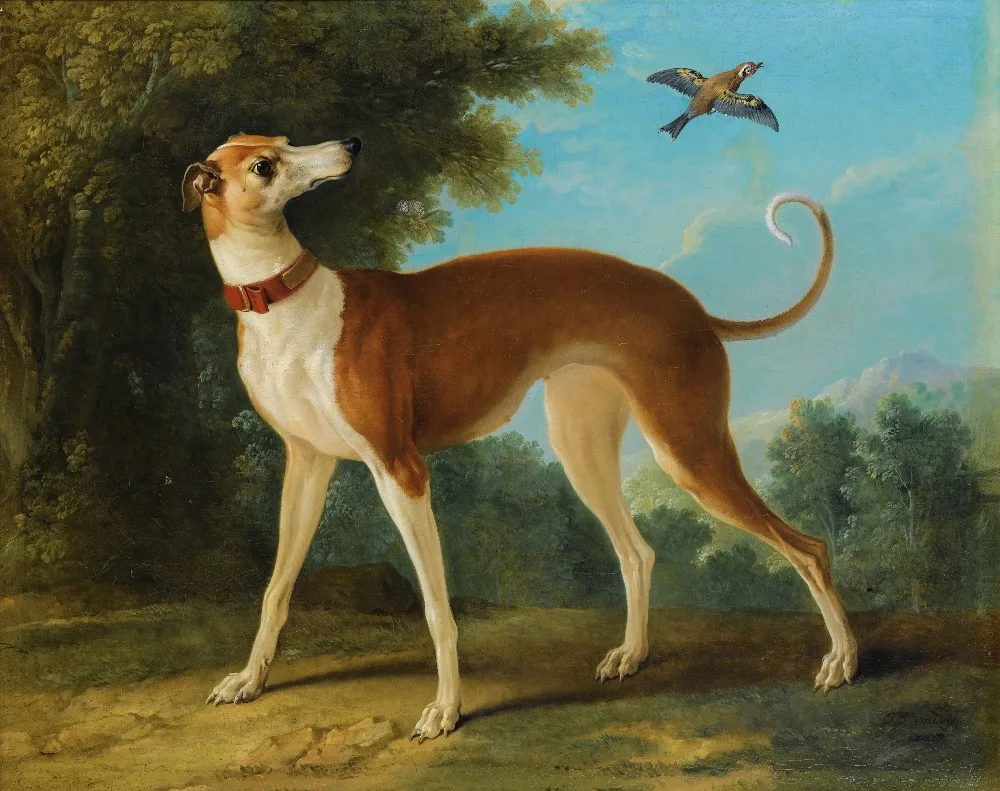 Oil Painting Reproduction,handmade oil painting,Greyhound in a landscape by Jean-Baptiste Oudry,Animal,Museum quaity