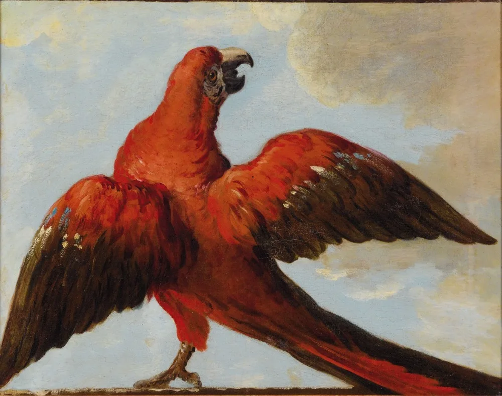 Oil Painting Reproduction,handmade oil painting,Parrot_with_Open_Wings BY Jean-Baptiste Oudry,Anima,Museum quaity