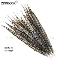 ZPDECOR 40-45cm 16-18 Inch Lady Amherst Tail pheasant Feathers