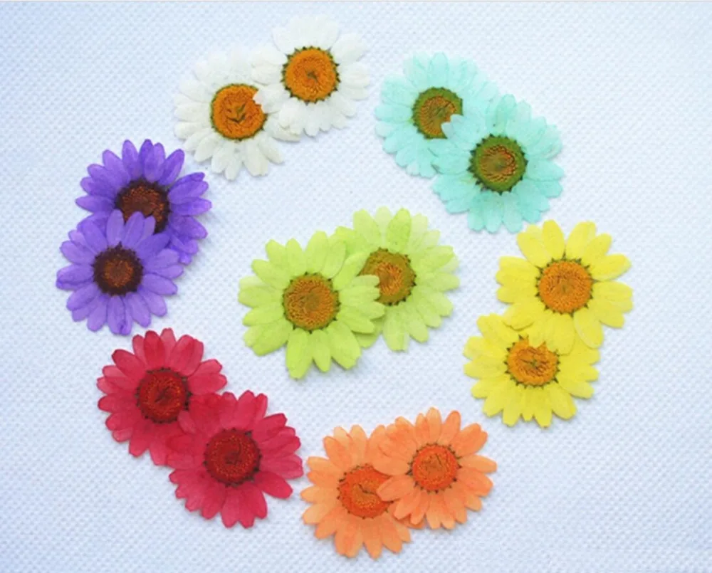 

120pcs Pressed Dried Chrysanthemum paludosum Daisy Flower For Nail art Epoxy Resin Pendant Necklace Jewelry Making Craft DIY