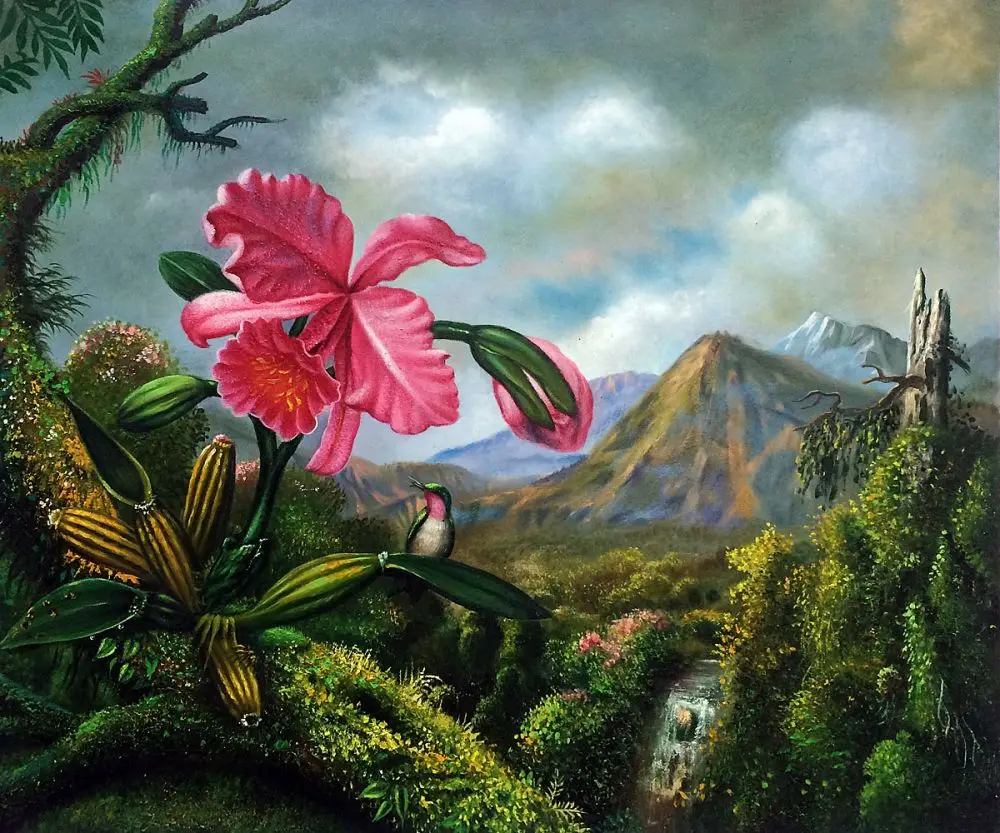 

Hand Painted Flower Painting Decor Oil Painting Orchid and Hummingbird Near a Mountain Waterfall, 1902 by Martin Johnson Heade