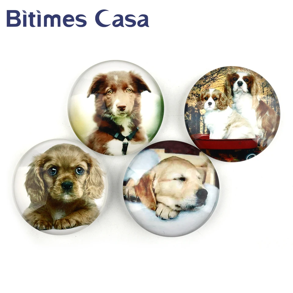 

Bitimes 4pcs/lot Crystal Dog Fridge Magnets Cute Animal Round Refrigerator Sticker Magnetic Message Holder Home Decoration