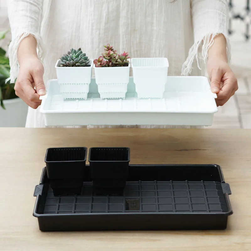 Bandeja rectangular de plástico para plantas, bandeja de almacenamiento para macetas de flores, colección de Cactus suculento, decoración de jardín y hogar, venta al por mayor