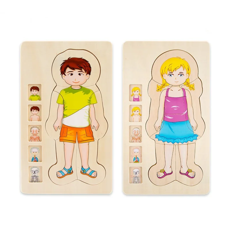 Wooden Multi-layer Puzzle Human Body Puzzle Boys Girls Body Structure Wood Puzzles Kids Educational Wooden Toys