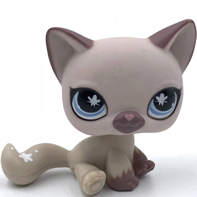 Littlest pet shop siamese cat best sale