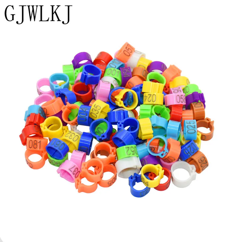 1000 bird foot ring 8mm and 10mm pet bird carrier pigeon parrot 10 color number foot ring bayonet marking ring