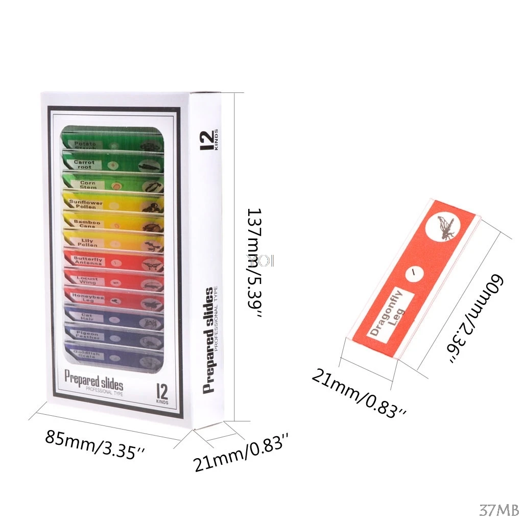 12 Pcs Prepared Microscope Slides Set For Student Basic Biology Educati