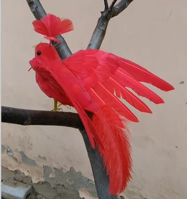 20x28cm foam& red feathers phoenix artificial bird handicraft,garden decoration prop gift a2538