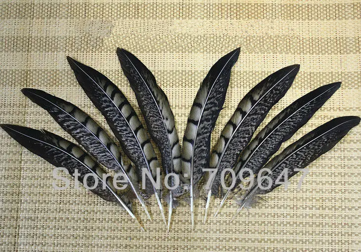 

50Pcs/Lot 6-8" 15-20cm Lady Amherst Pheasant Tail Feathers Wholesale Loose Quill Natural Smudge Wand Black Brown