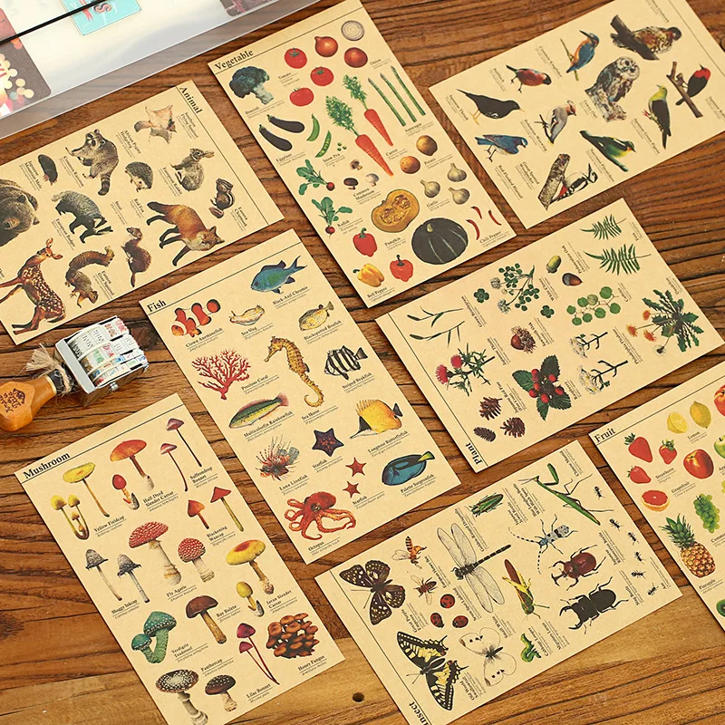 8pcs Kraft Paper Sticker Sets for Learning Fruit Fish Vegetable Plant Insect Animal Vintage Stationery School Supplies A6132