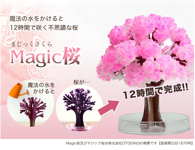 

2019 14x11cm Pink Big Grow Magic Paper Sakura Tree Japanese Magically Growing Trees Kit Desktop Cherry Blossom Christmas 20PCS