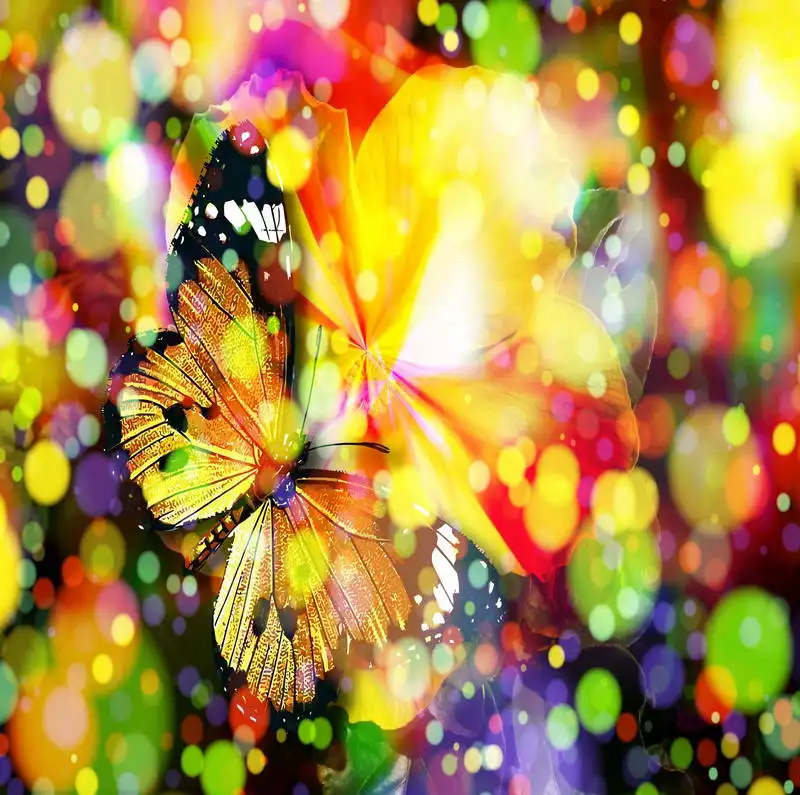 

10x10ft Colorful Spots Bokeh Butterfly Seamless Washable Wrinkle Free One Piece Photo Background Backdrop Polyester Fabric