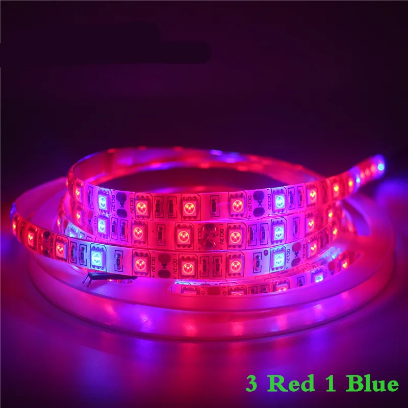 LED 식물 성장 식물 램프 풀 스펙트럼 LED 스트립 조명, SMD 5050 칩, 온실 수경 식물용 LED 강력한 성장 조명