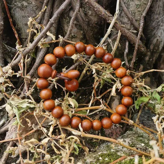 8mm 10mm 12mm Natural Peach Wood Beads Wood Round Beads Loose Beads Mala Bracelet Yoga Bracelet