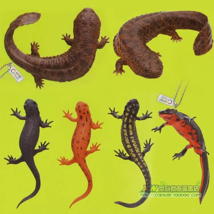 

capsule toys gashopin 6pcs/set Simulation models Reptilian lizard 6pcs/set