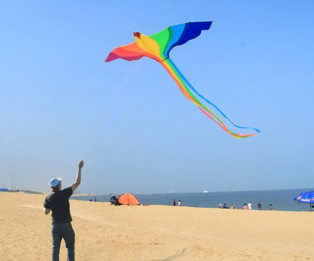 Cerf-volant Phoenix à longue queue colorée pour enfants et adultes, énorme maire intérieur, livré avec ficelle, 74 po