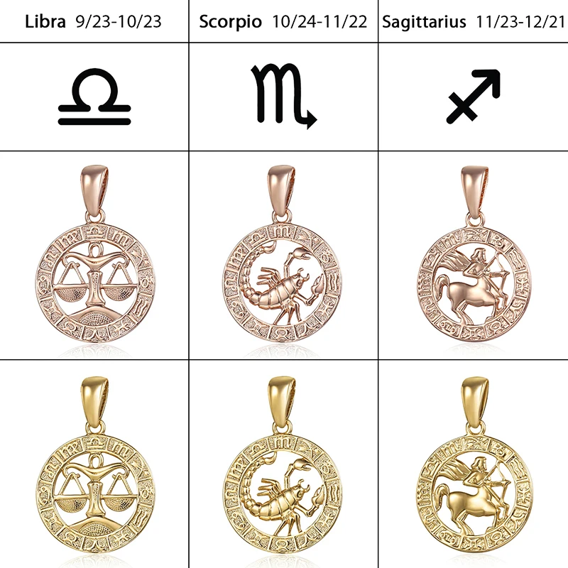 Davieslee 12 Zodiac Sign Constellation Pendant Necklace For Women Men Rose Gold Color Round Shaped DGPM16