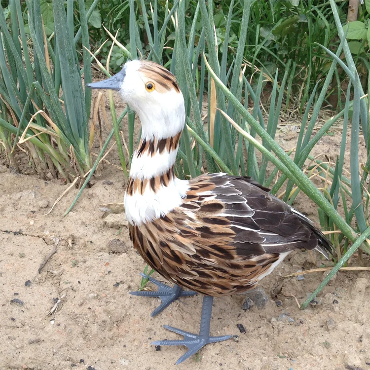 

new creative simulation male duck model foam&furs brown duck model gift about 38x36cm 1915