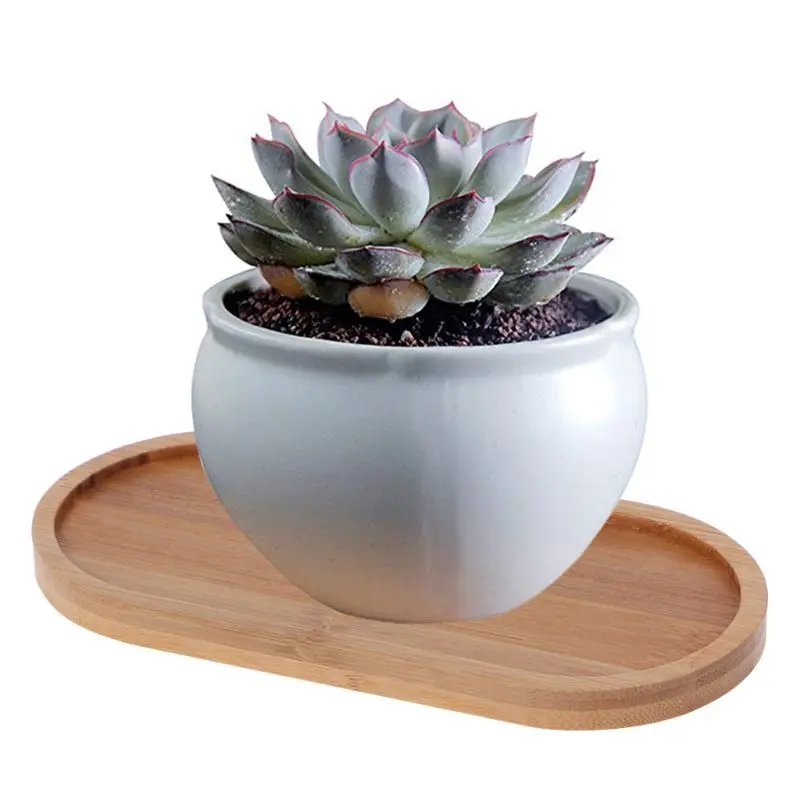 Oval Shape Bamboo Wood Saucer Plant Tray Mini Plant Flower Pot Stand Favor Succulent Pot Tray Simple Elegant Design Home Balcony