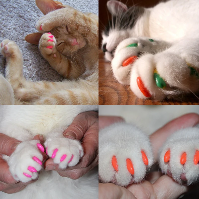 20 Pcs New Blister Card Anti-scratch Silicone Soft Cat Nail Caps Cat Paw Claw Nail Protector With Applicator And Free Glue