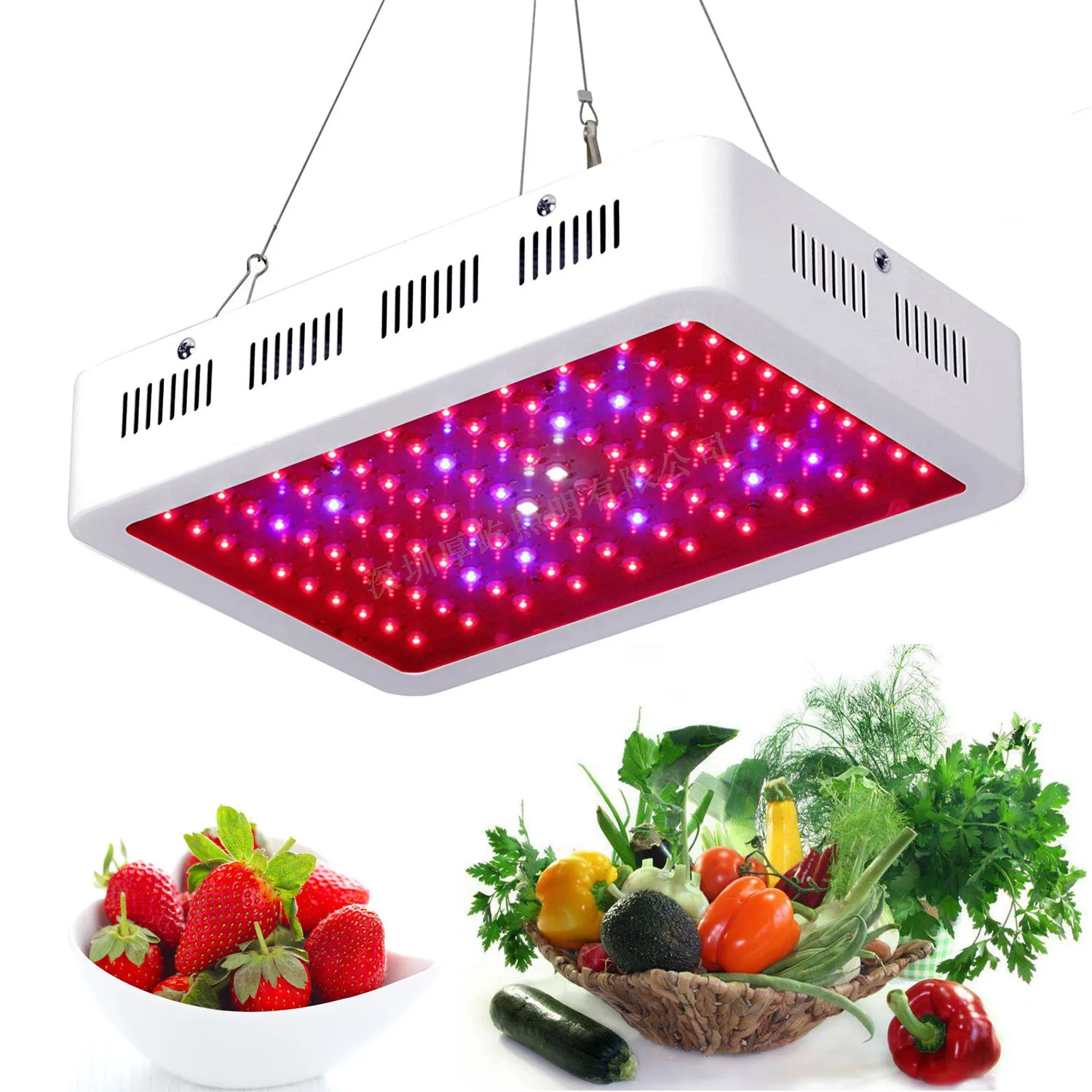 Modern 300W Plant Lamp Green House LED Plant Growth Lamp Plant Supplementary Light Can Be Customized Spectrum