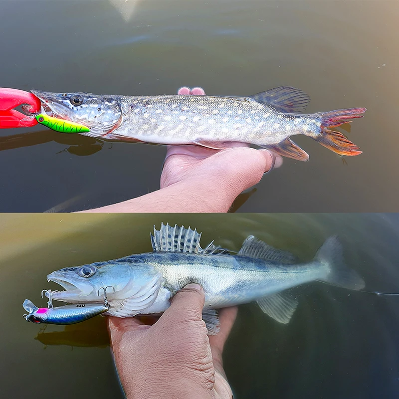 TSURINOYA 0-30m Shallow Runner Fishing Lure 64mm 6g DW71 Floating Minnow Pike Bass Jerkbait Artificial Hard Bait Crankbait