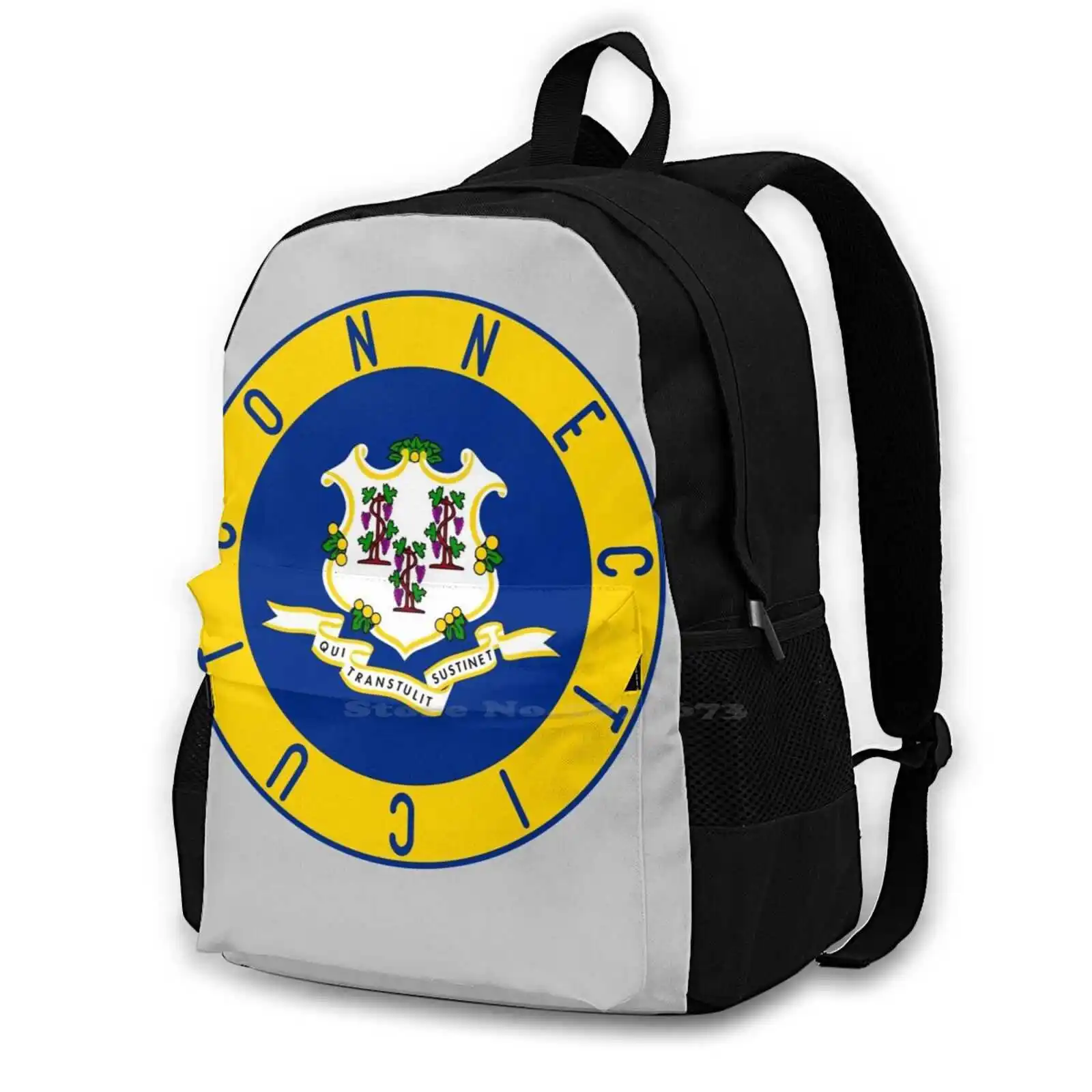 

Flag Decal School Bags Travel Laptop Backpack Ct Flag Design State Of Ct Souvenir